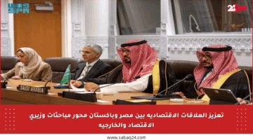تعزيز العلاقات الاقتصادية بين مصر وباكستان محور مباحثات وزيري الاقتصاد والخارجية